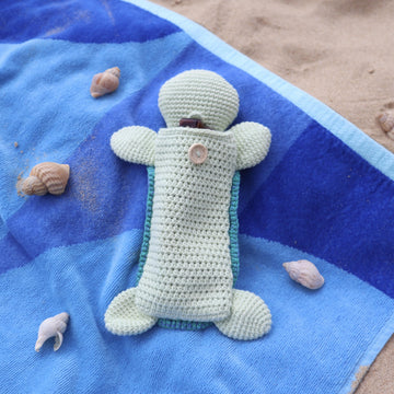 Turtle Sunglasses Case