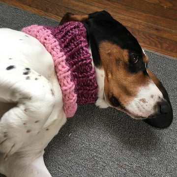 The Cozi Cowl