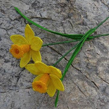 Daffodil long stem