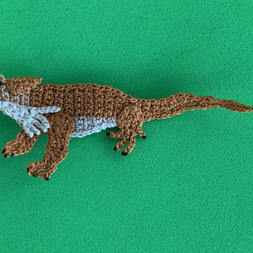 Lizard