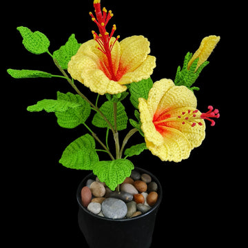 Crochet Hibiscus flowers