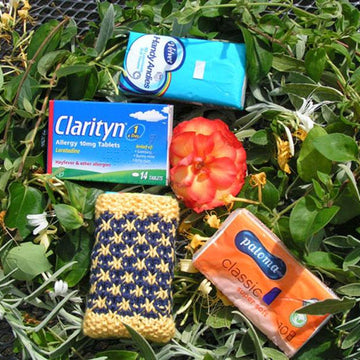 Pocket Tissue Pack Cover (Knit}