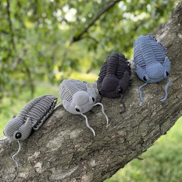 Trilobite