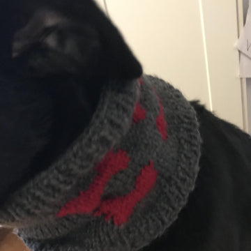 Dog bone cowl
