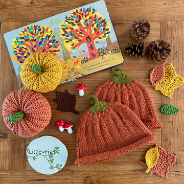 Pumpkin beanie hat