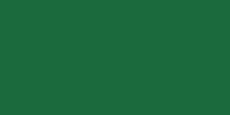 Palmer Washable Poster Paint 8oz - Green