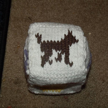 123ABC Baby Blocks "D"