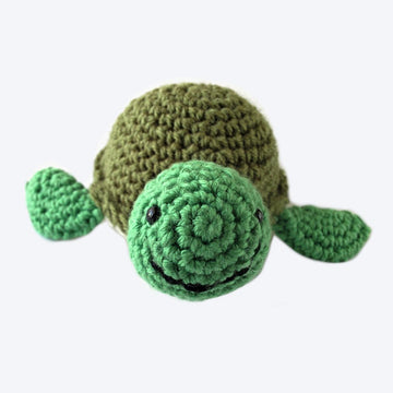 Shelby The Turtle