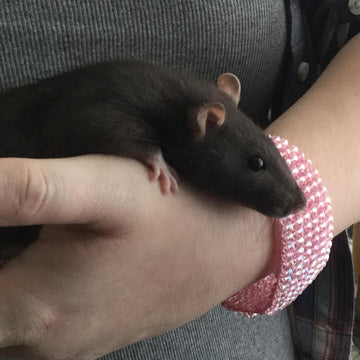 Linda's Bracelet