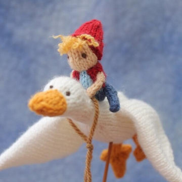 The Boy On the Goose
