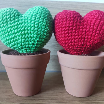 Hoya Plant Decoration