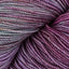 Crocus (616)