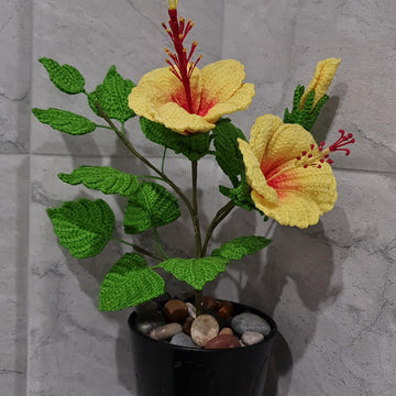 Crochet Hibiscus flowers