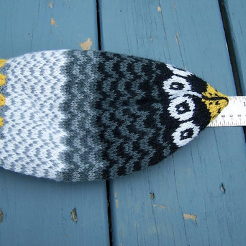 Falcon Family Hat