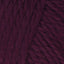 Pickled Beet (6088)