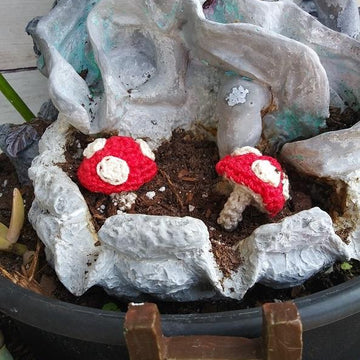 Faye's Lightweight Toadstool