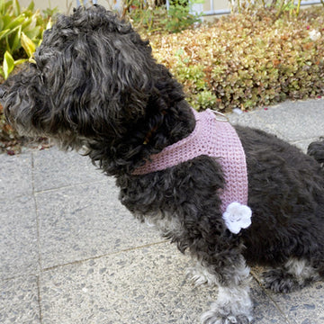 Crochet Pattern Dog Harness (for small dogs)