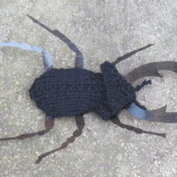 Stag Beetle