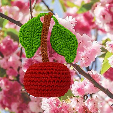 Cherry with stalk and leaves