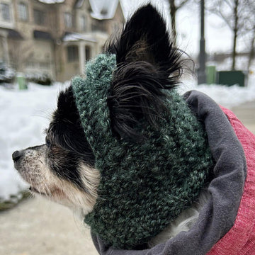 Techichi - The Chihuahua Hat