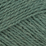 Eucalyptus (0794)