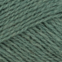 Eucalyptus (0794)