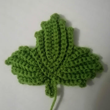 Pumpkin Leaves