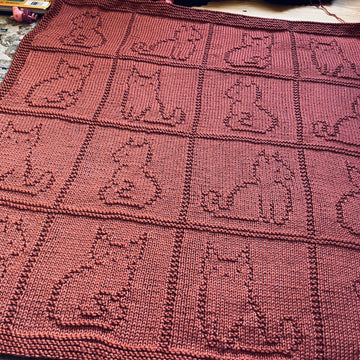 Cat Blanket