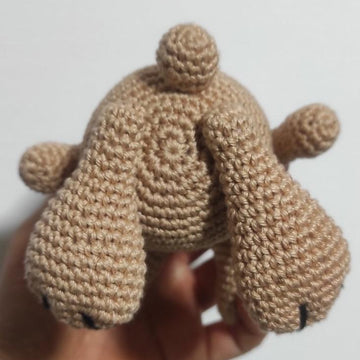 Bunny Egg