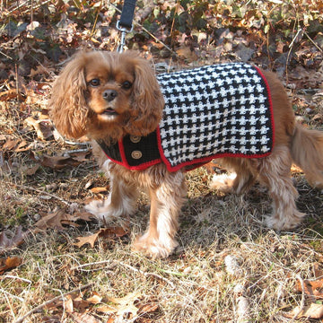 The Hound of the Baskervilles Dog Coat
