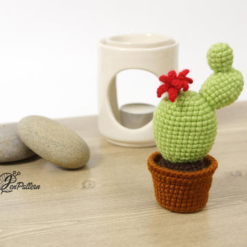 Cactus Collection