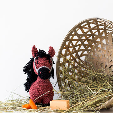 Hoooked Eco Barbante - Pony Sienna - Brick