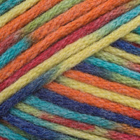 Multi Brights (9813)
