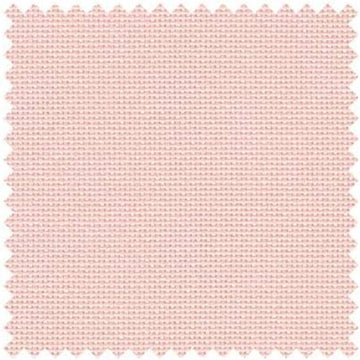 Pale Rose