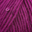 Fuchsia (687)
