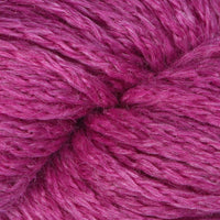 Raspberry (29)
