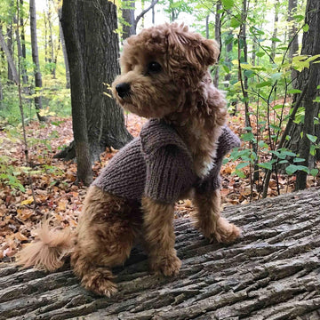 Dog Stretchy Cardigan