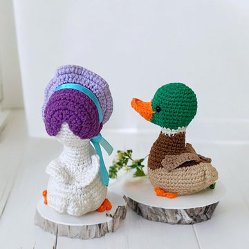Bonnet Duck and mallard duck