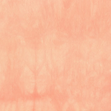 Blossom (72)