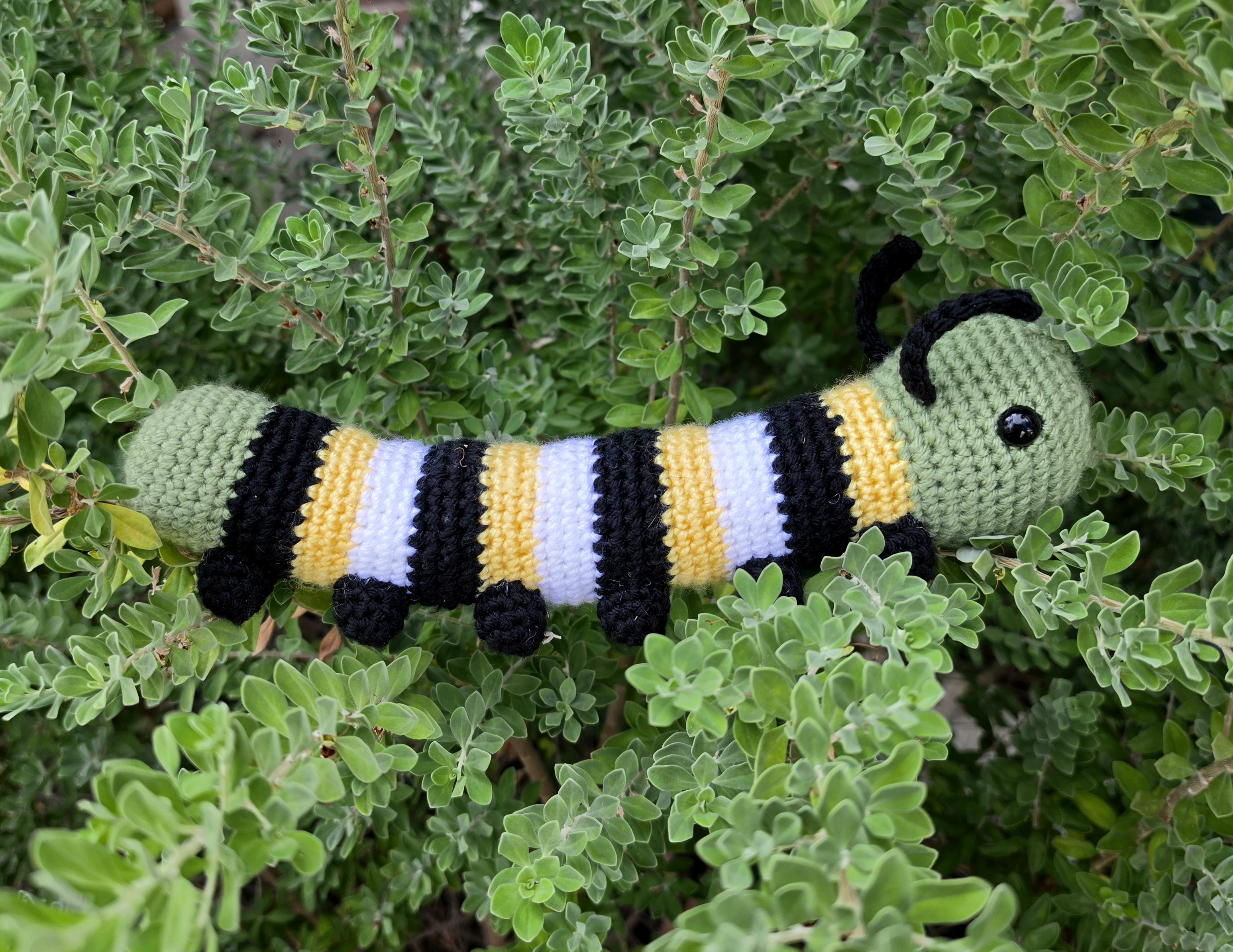 Wally the Wandering Caterpillar