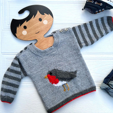 Rockin Robin Baby Sweater