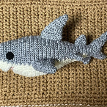 Sea Creatures Great White Shark