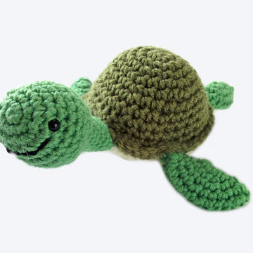 Shelby The Turtle