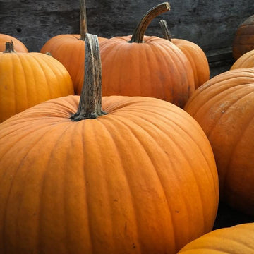 Pumpkin sweater