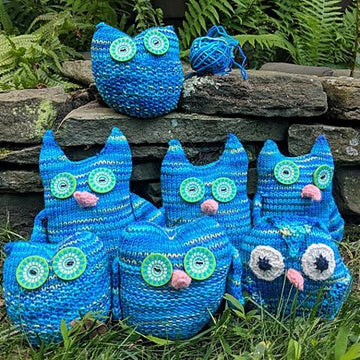 The owl gang