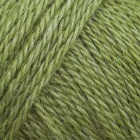 Spruce (4515)