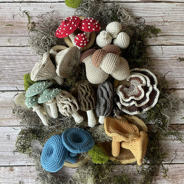Mushroom Harvest