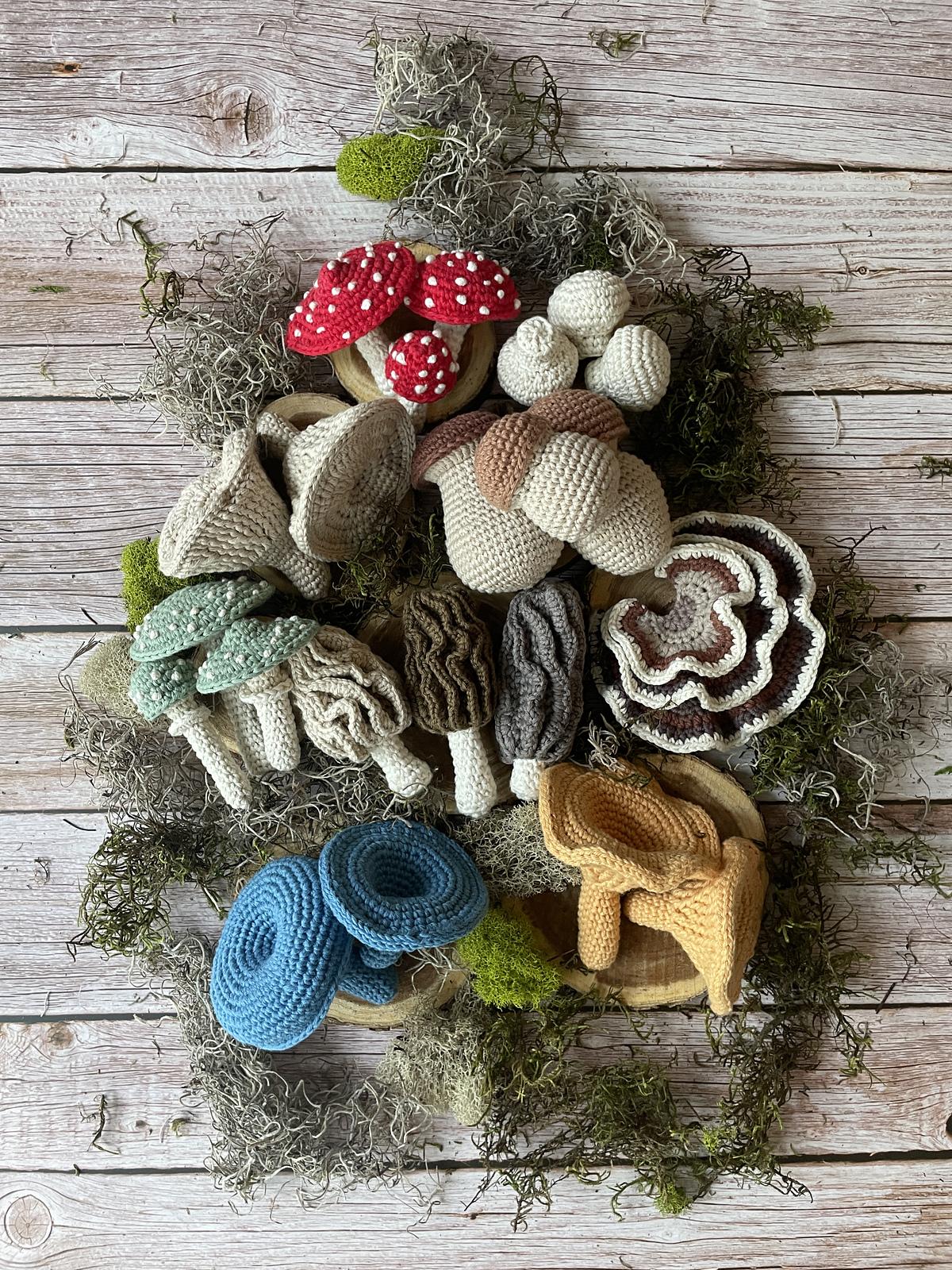 Mushroom Harvest