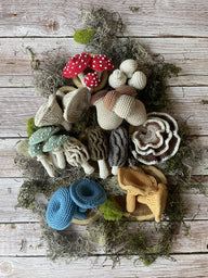 Mushroom Harvest
