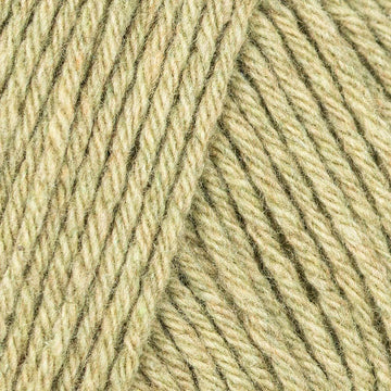 Eucalyptus Green